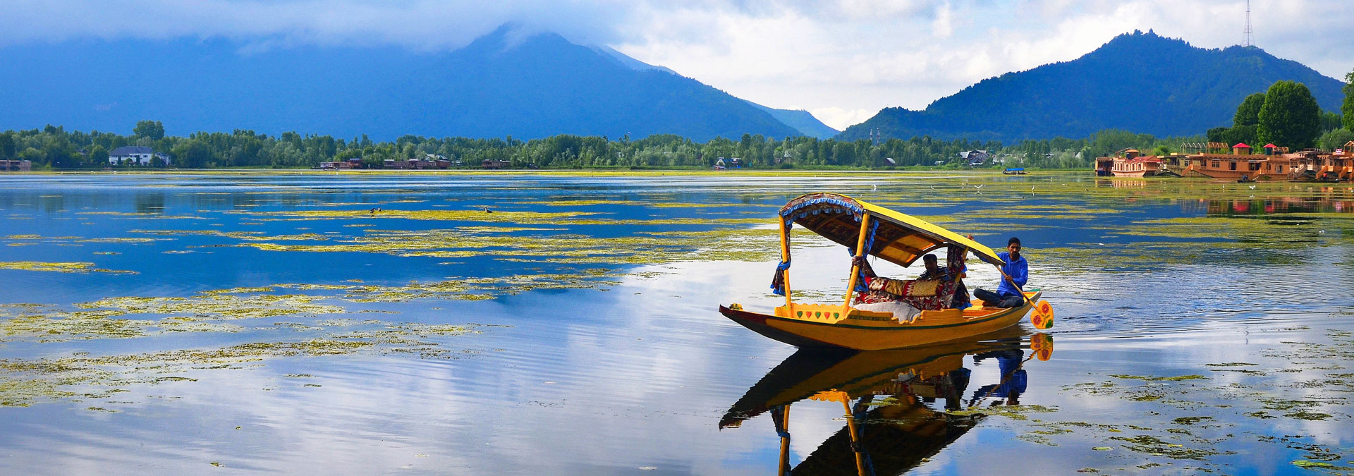 Kashmir