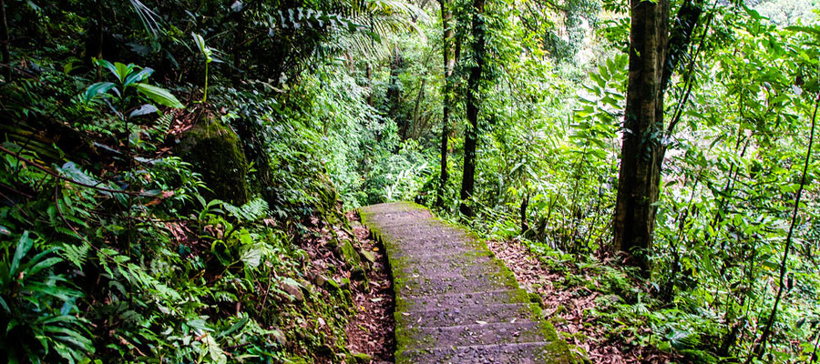 Cherrapunjee Cherrapunjee